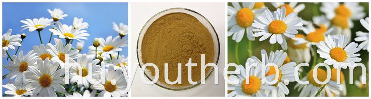 Customized Service High Quality 20:1 Chamomile Extract Powder